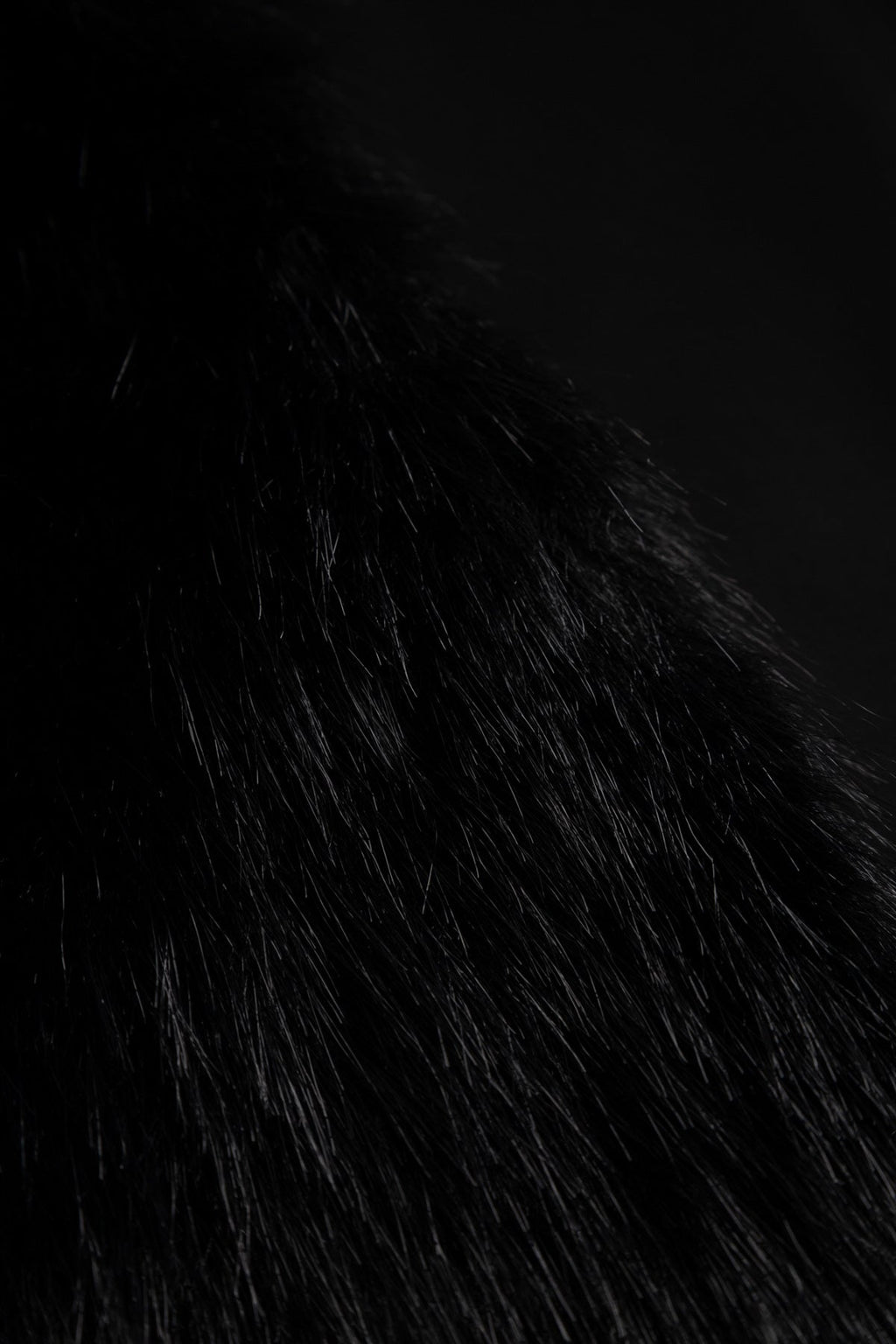 Lizz Jacke Schwarz